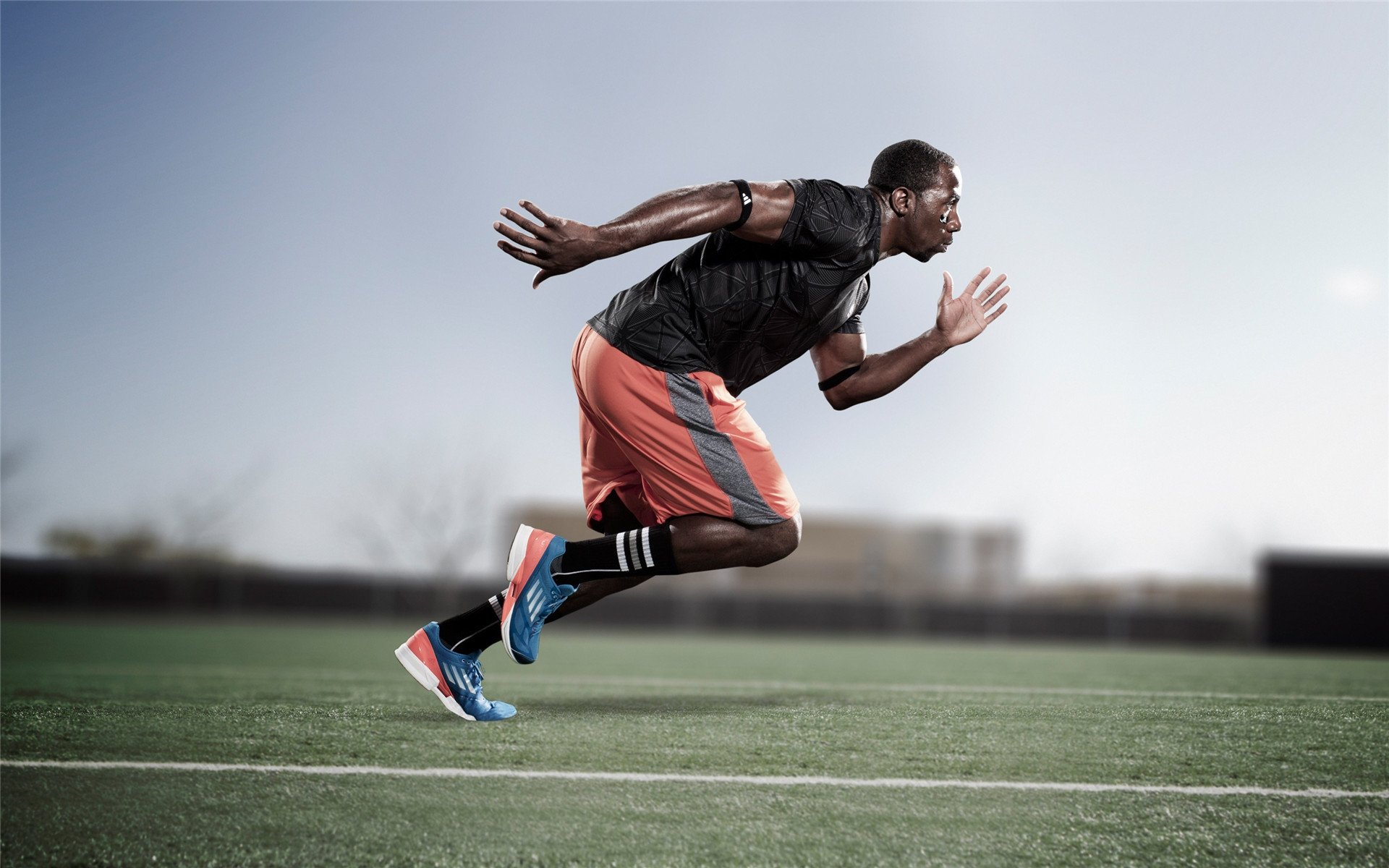 体育焦点赛事深度专栏,体育聚焦