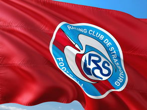 星空体育在线登录-荷兰队在欧洲预赛中继续保持领先优势